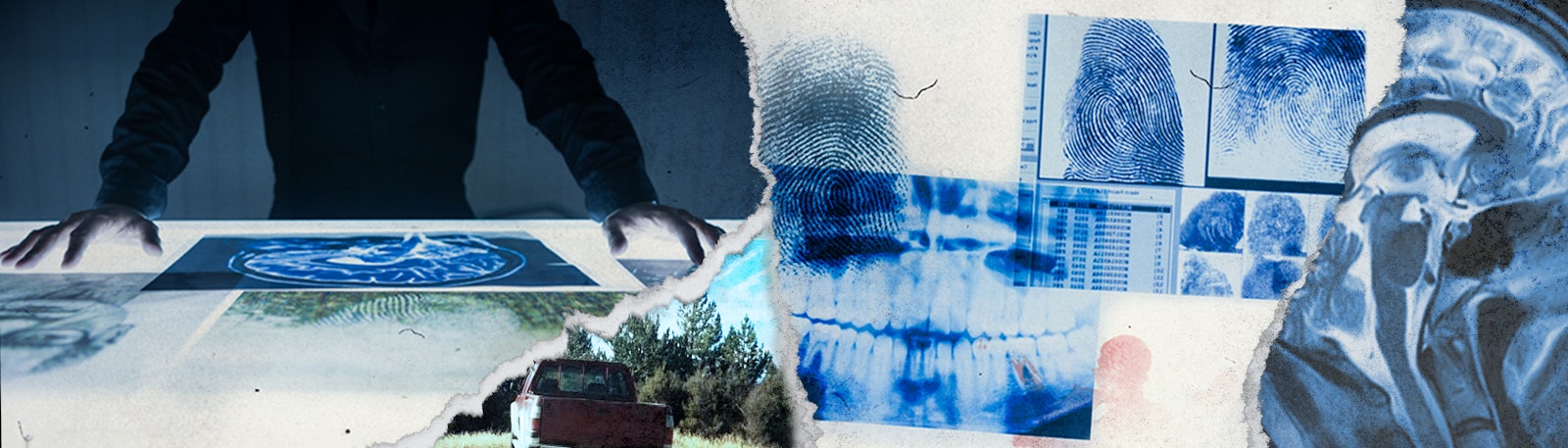 Image of Cold Case