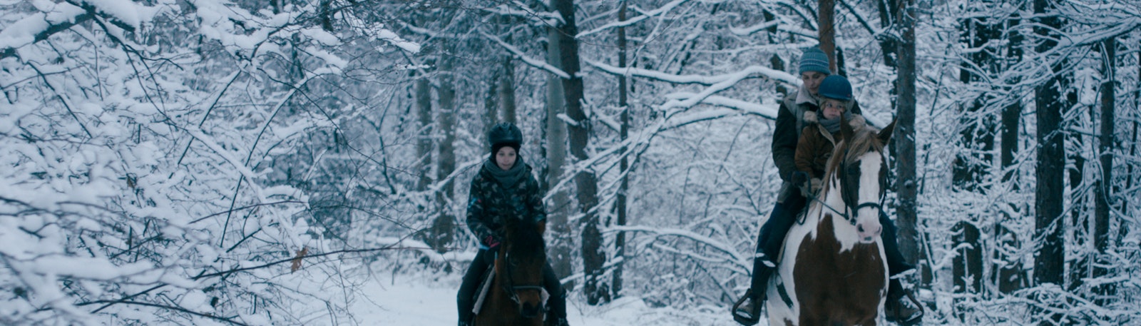 Image of Pelican Blood