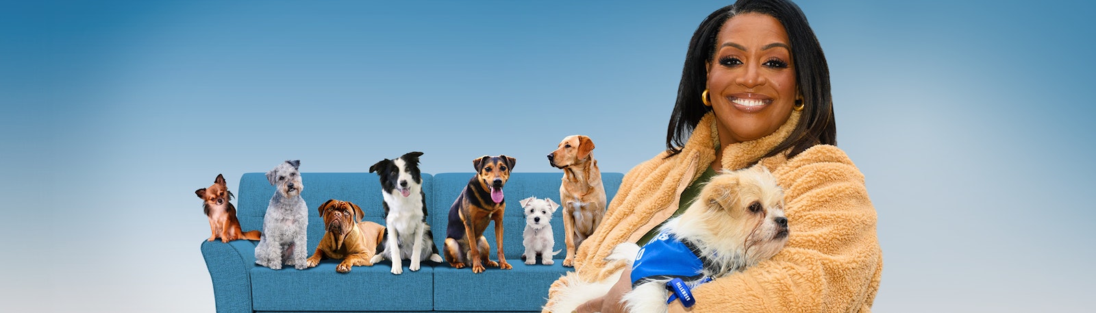 Image of For the Love of Dogs with Alison Hammond - For The Love Of Dogs Series 10