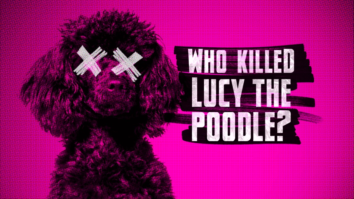 Lucy hot sale the poodle