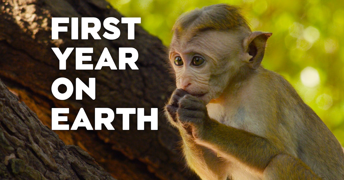 Watch First Year On Earth Episodes TVNZ OnDemand watch-first-year-on-earth-episodes-tvnz-ondemand