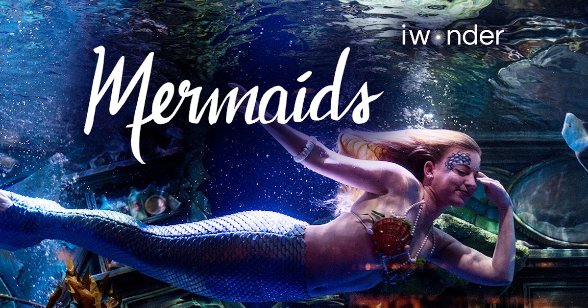 Watch Mermaids | Episodes | TVNZ OnDemand