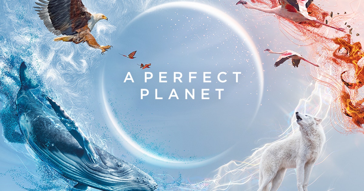 Watch A Perfect Planet | Full Season | TVNZ OnDemand
